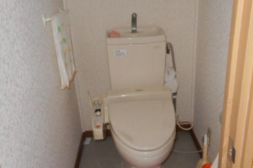 トイレの入れ替えは出来ないが、自分でDIYもしてみたい